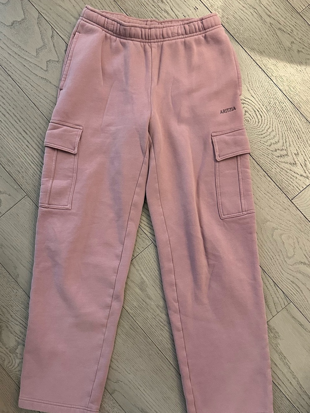 Aritzia Cozy Sweatfleece Mega Cargo Sweatpant